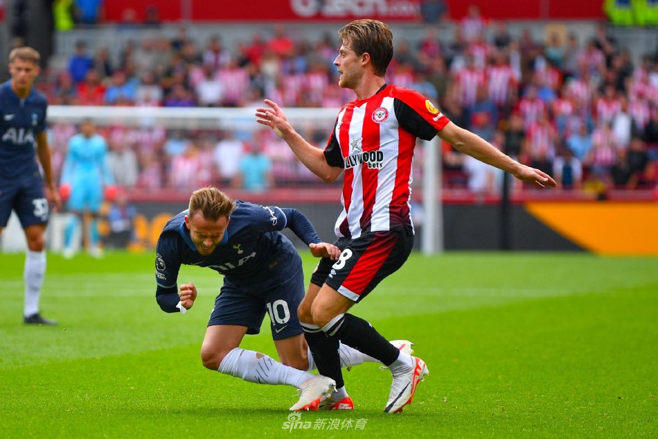 早期形成稳 早期形成稳